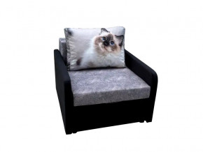 Кресло кровать Канзасик с подлокотниками кот голубые глаза в Пласте - plast.mebel74.com | фото