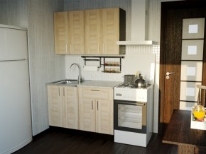 Кухонный гарнитур Ника лайт 1200 мм в Пласте - plast.mebel74.com | фото 1