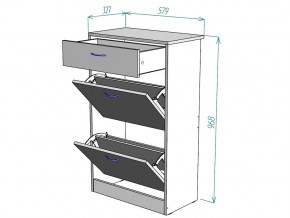 Обувница W21 в Пласте - plast.mebel74.com | фото 3