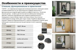 Прихожая Санти Антрацит в Пласте - plast.mebel74.com | фото 5