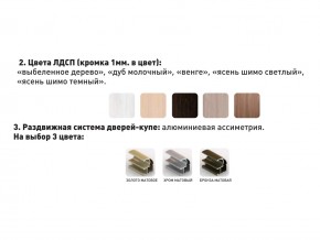 Шкаф-купе Акцент-Сим Д 1400-600 шимо светлый в Пласте - plast.mebel74.com | фото 3