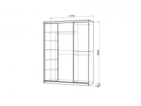 Шкаф-купе Бассо 2-600 дуб млечный/белый в Пласте - plast.mebel74.com | фото 3