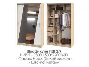 шкаф-купе ПШ-2.9 1500 Норд Белый жемчуг 1500 в Пласте - plast.mebel74.com | фото