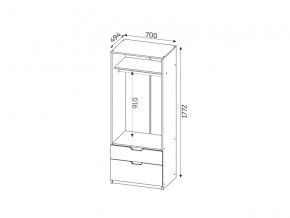 Шкаф с 2-мя ящиками ЛДСП Фаворит в Пласте - plast.mebel74.com | фото 2