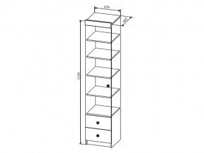 Шкаф Сканди ШД450.1 в Пласте - plast.mebel74.com | фото 2