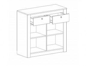 Тумба 2 двери и 2 ящика Даллас в Пласте - plast.mebel74.com | фото 2